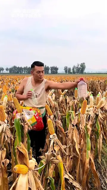 ​The Secret Corn Protection Trick You’ve Never Seen