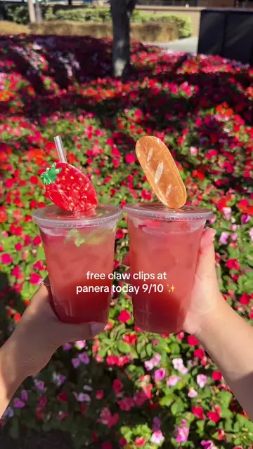 thank you @Panera Bread these are sooo cute 🥰 #panera #clawclip #giveaway #girl