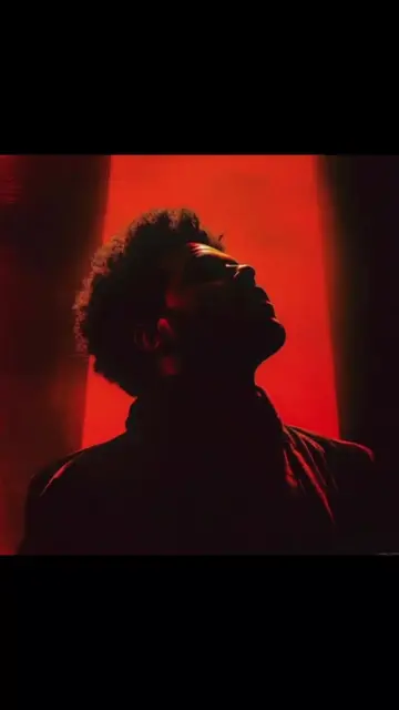 music: Where you Belong- The Weeknd                            #music #theweeknd
