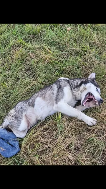 She laid there alone with broken spine due to heartless, crying for 2 days in pa