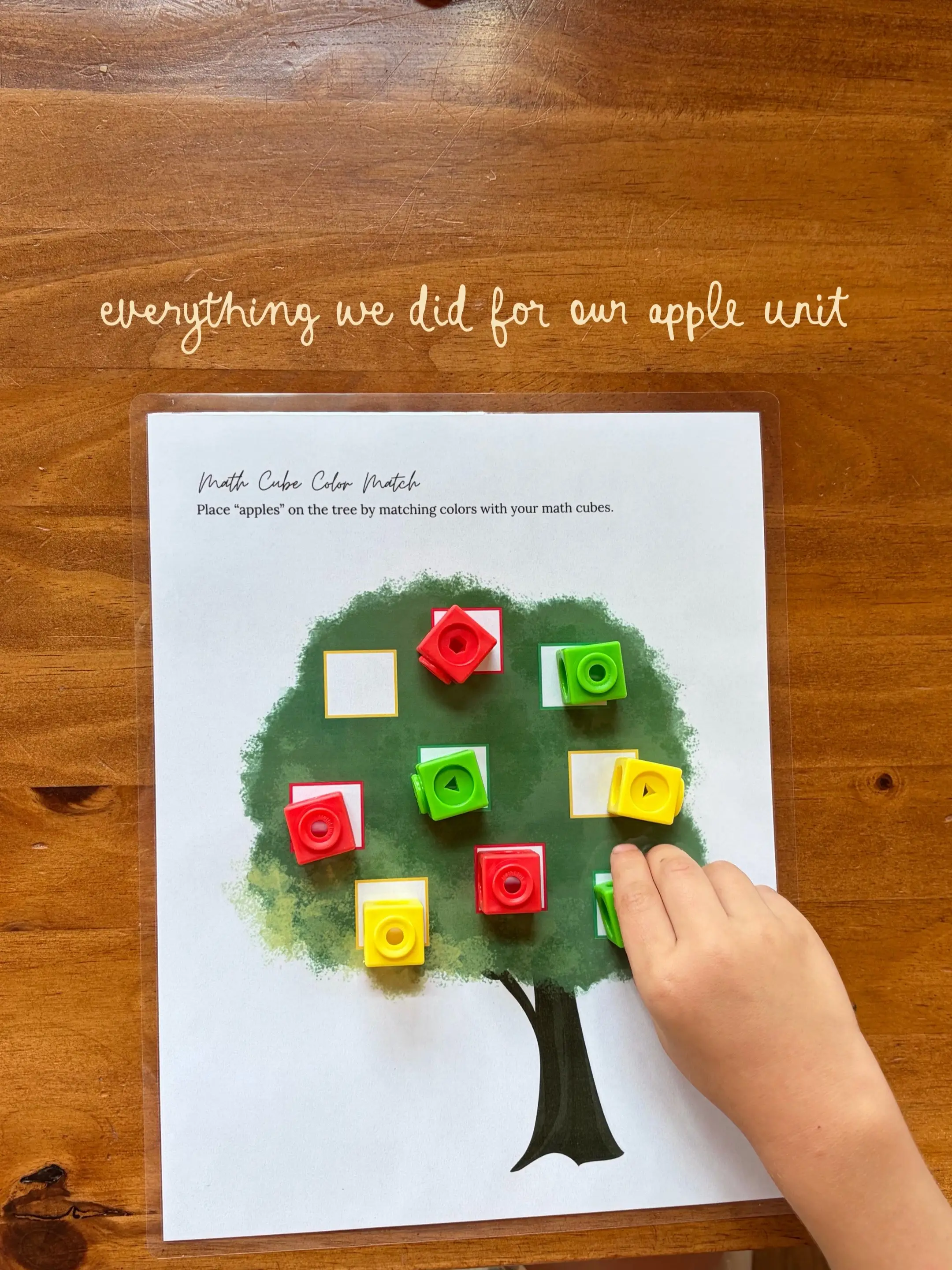 Everything we did for our first week of homeschool preschool: apple unit! 🍎🍏  