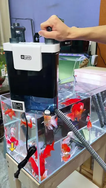 Lần đầu thấy bộ lọc có thể tách riêng phân cá như này, nhìn khá tiện cho việc vệ