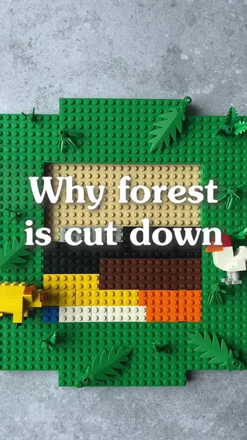Every minute we lose 23 football fields of forest 🪓 Why? The short answer: beca