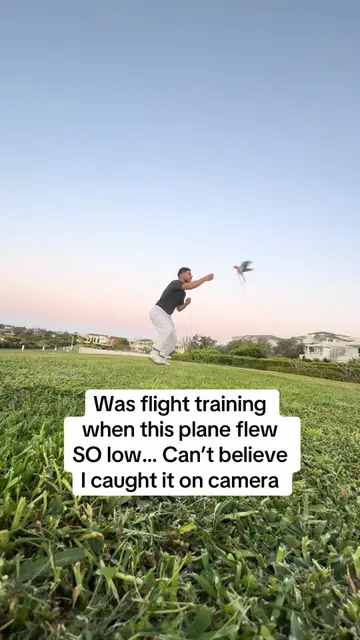 @Qantas I think you need to change your flight path… #PetsOfTikTok #parrotsoftik
