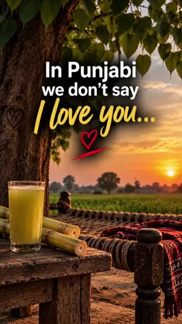 In Punjabi, we don’t always say “I love you”… sometimes we just find a more crea