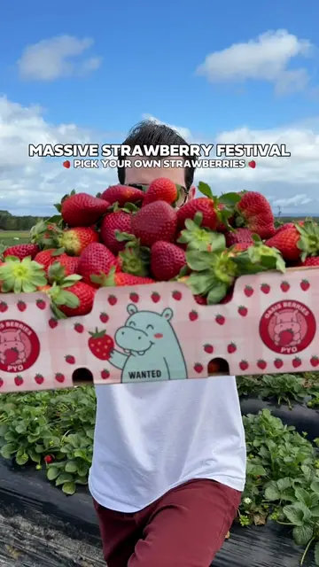 [ EVENT ] THIS FARM LETS YOU PICK YOUR OWN STRAWBERRIES AND PILE YOUR BOX HIGH �