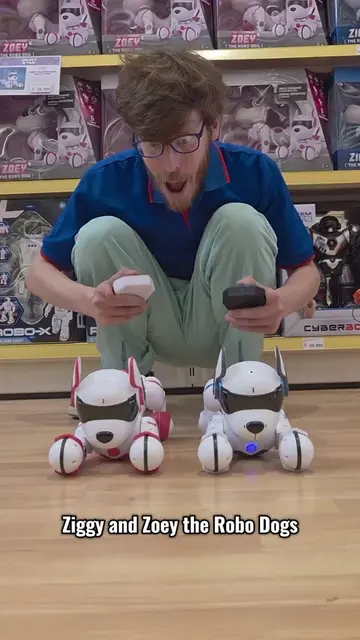 Meet Ziggy and Zoey the Robo Dogs! These futuristic pups can sing, dance, bark a