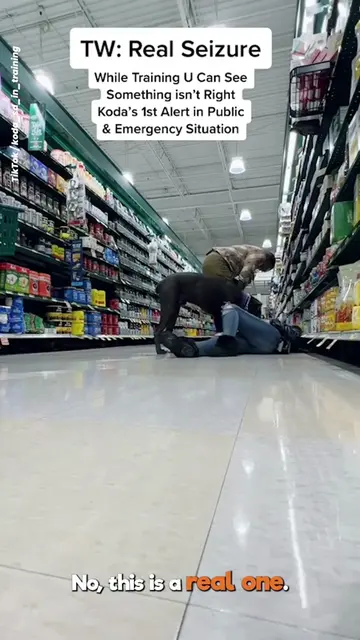 My dog saved me during a seizure… ❤️🐶 The moment something was wrong, my dog kn
