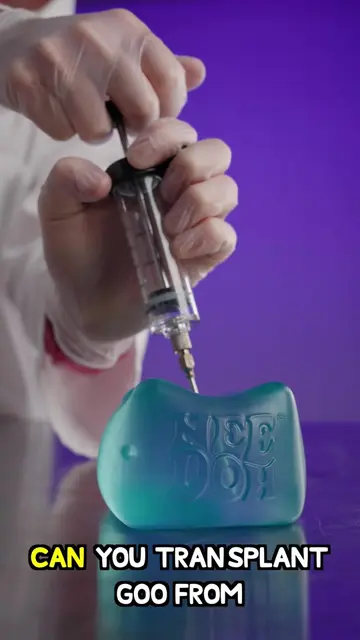 Can You Transplant Goo from Squishy to Squishy? #shorts #vat19 #curiouslyawesome