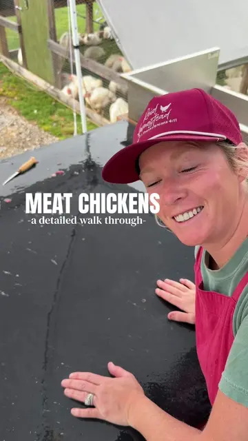 Processing a chicken 🐓 a better POV #meatchickens #homestead 