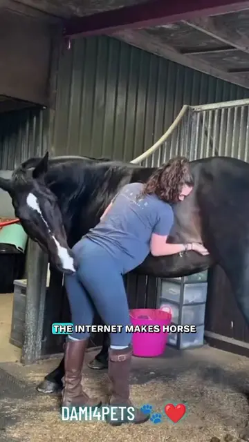 A clean horse isn't necessarily a healthy horse. 🐎 Grooming is only one part of