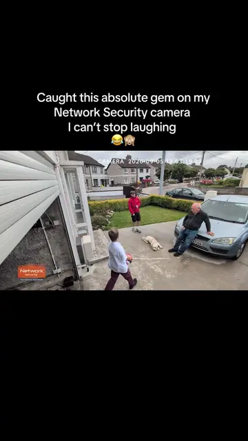 POV: you caught comedy gold on your security cam  Thinking about getting a secur