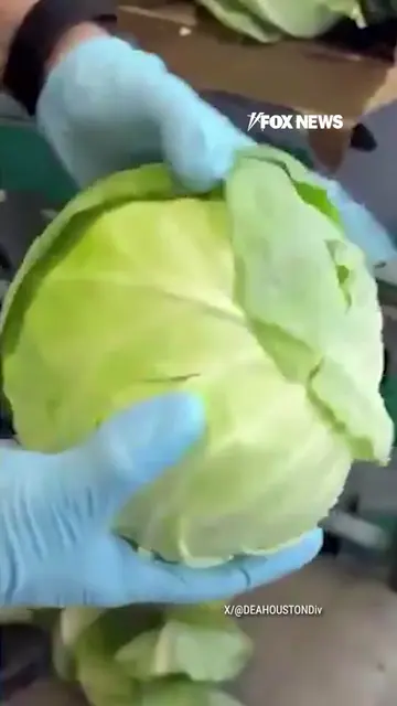 Agents start peeling apart a shipment of cabbage in South Texas and find somethi