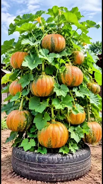 Easy Plant Care Tips for Healthy Plants
