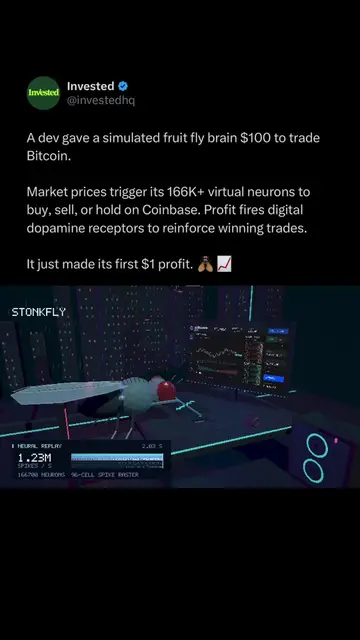 What part of the crypto cycle is this? A Coinbase engineer wired a simulated fly