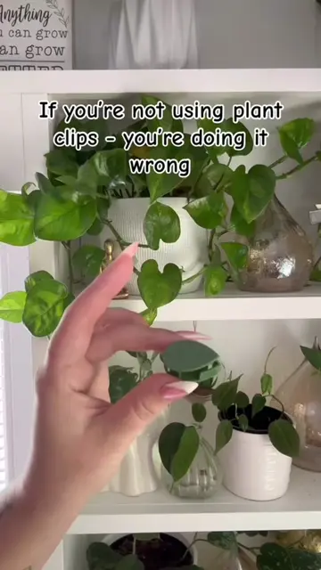 POV: you found a way to control the chaos without ruining the vibe 😂🌿#PlantTok