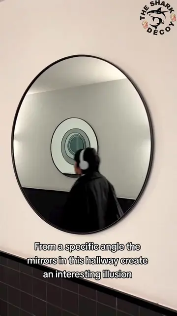 #thesharkdecoy #trending 
