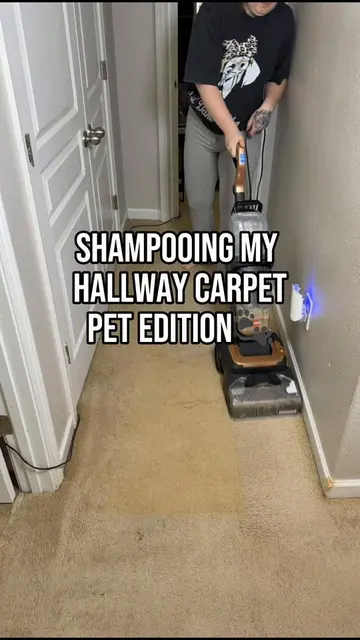This was definitely a satisfying carpet clean😁🐾 #realistic #realisticcleaning 