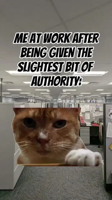 Call me Daddy #Meme #work  #corporatehumor #fyp #officehumor 