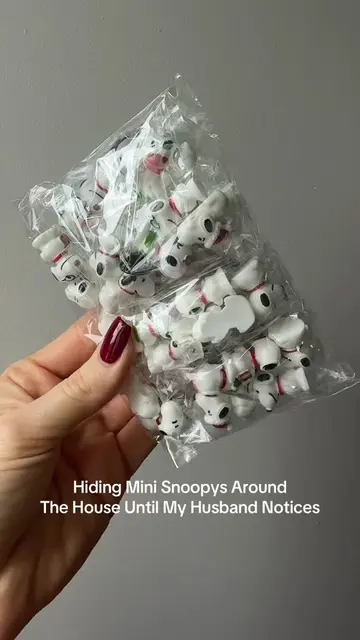 How many days do you think until he notices 🤫 #snoopy #hidenseek #peanuts #mini