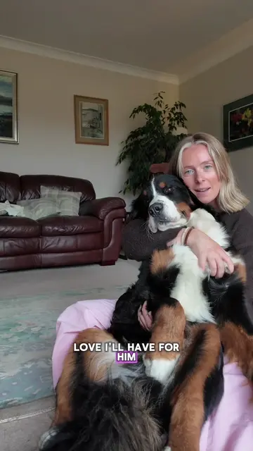 Your sign to get the berner 🤍 #dogsoftiktok #berneselover #bernesepuppy #bernes