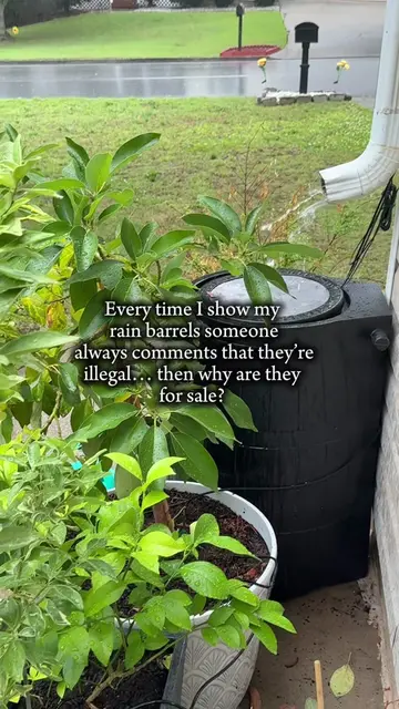 🌧️ Why let FREE water run off your roof when you could save it for your garden?
