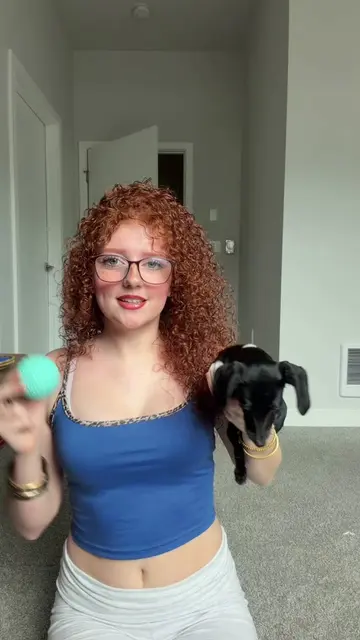 Was this a fail? #dog #dogtoys #dachshund #cutepuppy #interactivedogtoys 