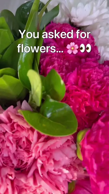 What’s next?? Because the flowers are 😍😍                                  #Pla