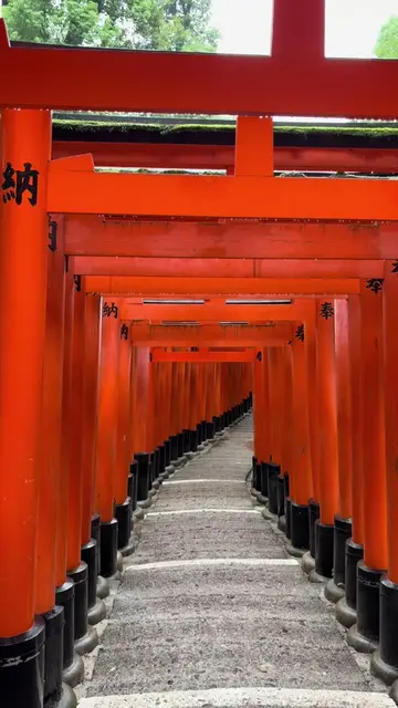 #asia #japan #fushimiinari #travel #backpacking