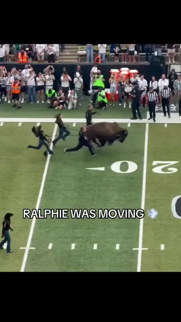 One of the greatest traditions in sports 🙌 (via RealMatSmith/X) #cuboulder #buf