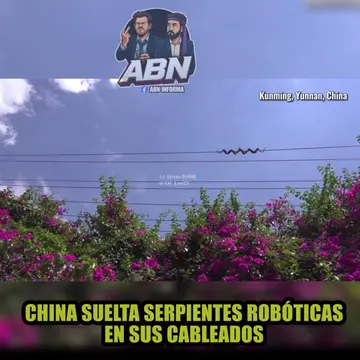¡CHINA SUELTA SERPIENTES ROBÓTICAS EN SUS CABLEADOS Y OCCIDENTE NO SABE SI REÍR 