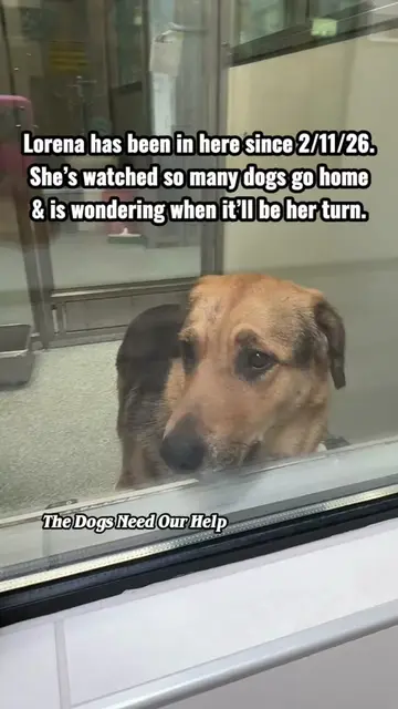 💔LORENA HAS BEEN WAITING SINCE FEBRUARY. MORE THAN LONG ENOUGH. Lorena has been