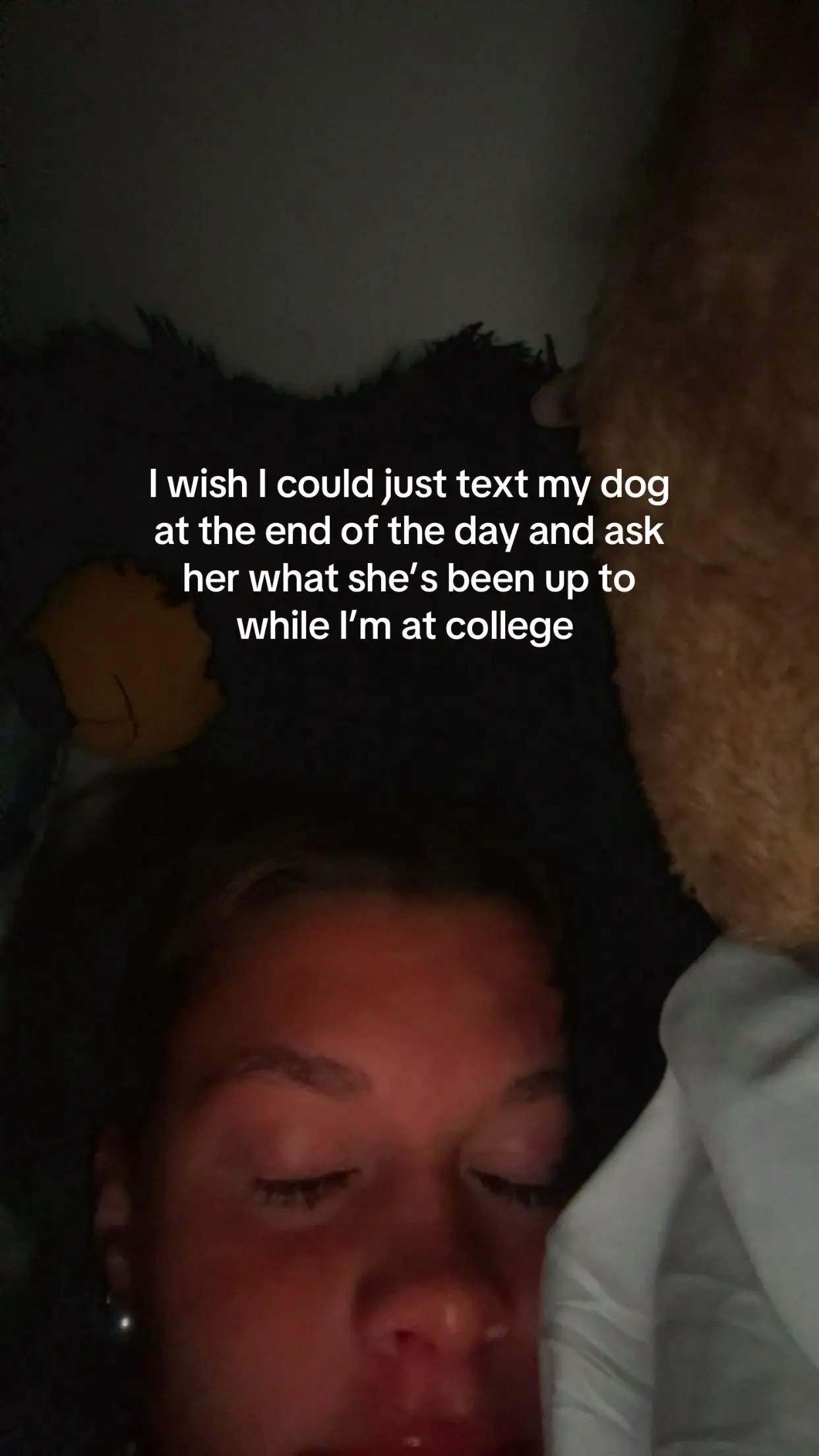Please I miss my Shayla #fyp #dog 