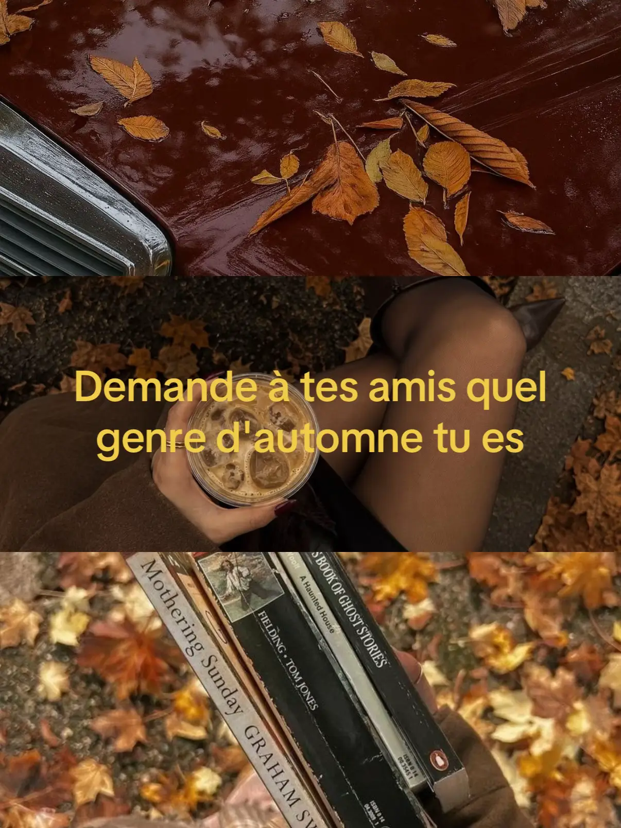 Je pense que j’suis plutôt dark autumn. 🙃  Dites-moi ce que vos amis pensent ! 