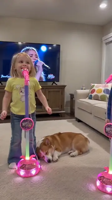 This is the performance bit we do at our house every day 😂#microphone #toysfort