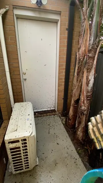 blasting away years of build-up 💦 this is why the right equipment makes all the