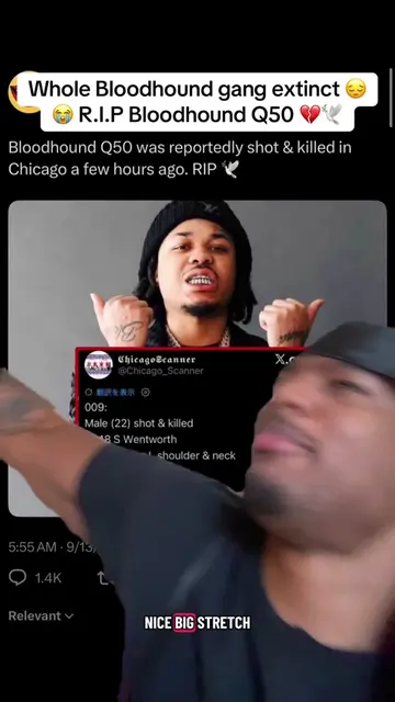 Damn Q50 😭😭😔💔 #fypシ゚viral #bloodhound #bloodhoundq50 