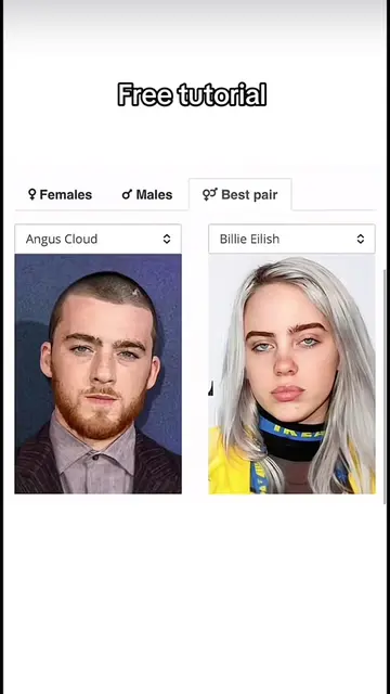 Want to know how to do the celebrity look alike website trend? Here is the full 