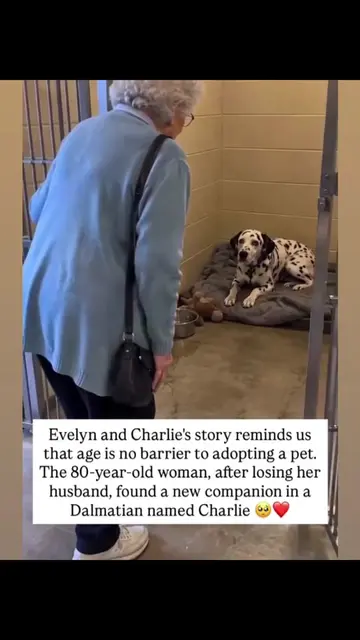 They say that love has no age, and if there was ever a story that proves it, it’
