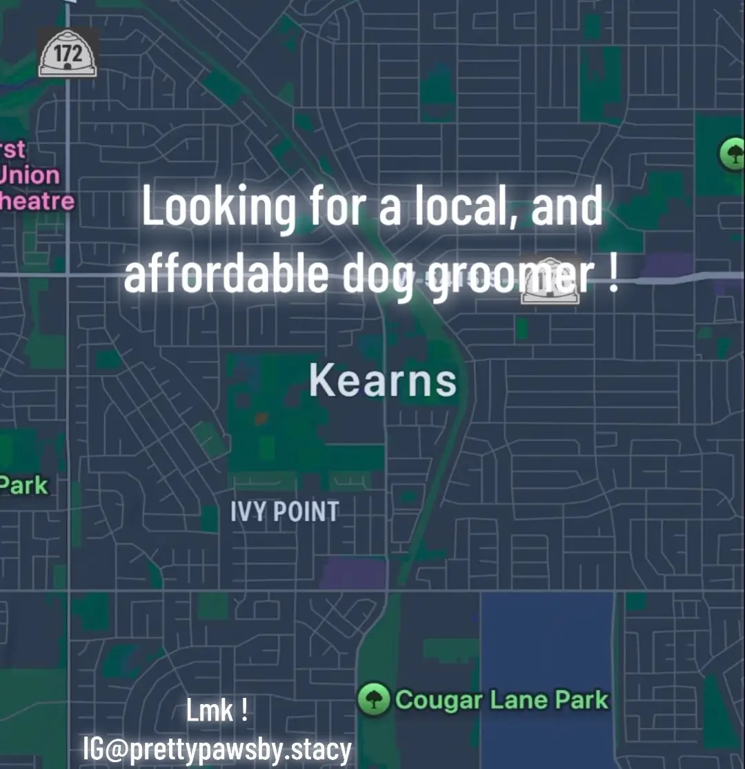 #local #doggroomer #targetaudience #utah #fyp 