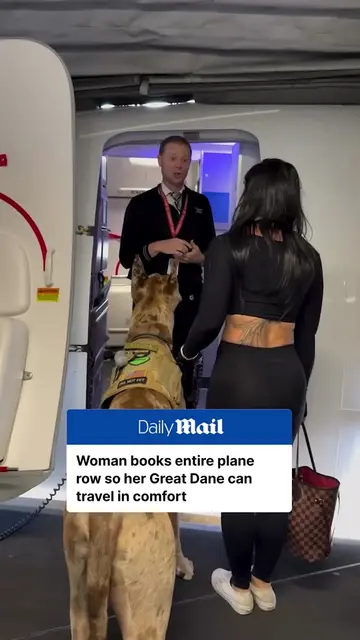 A giant Great Dane enjoyed some seriously spacious travel after his owner report