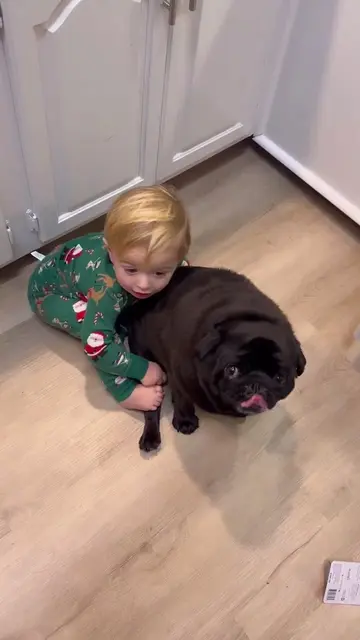 Pugs and babies are the best companions you can ever have. #pug #companion #cari