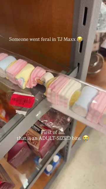 I have SO many questions. First of all… that is NOT a toddler-sized bite. Second