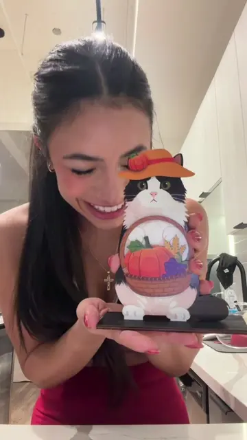 This is 100% worth every penny  #cat #catlover #cattiktok #fyp #catsoftiktok 