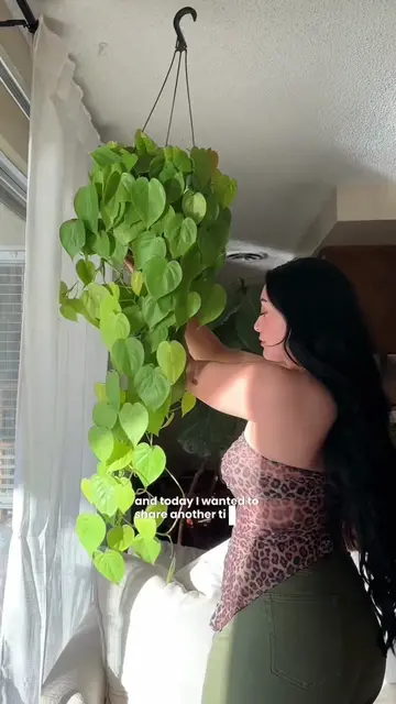 Soil is the foundation for plantita health!!! ☺️🫶🏼 #planttips #houseplants #pl