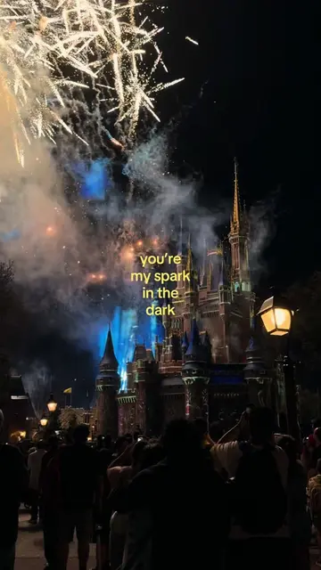 @Disney Parks your my spark in the dark🎆 had to do some vids from my fav park f