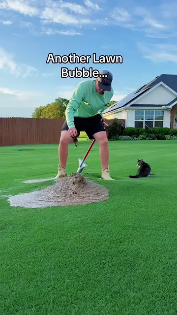 Must-Have Lawn Tools to Make Yard Work Super Easy✨#HomeGarden #LawnMaintenance#l