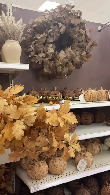 🎃🍁🍂 | #fall #autumn #fallinspo #foryoupage #fallaesthetic @target 