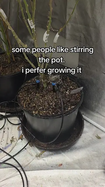 sometimes ill stir it tho 😂 #gardening #gardentok #growtok #garden #growyourown