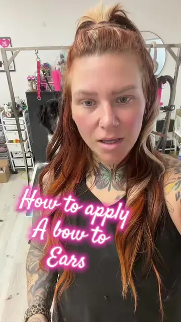 How do apply a bow . Everyone should be taught this so here you go lovies 💕🎀💝
